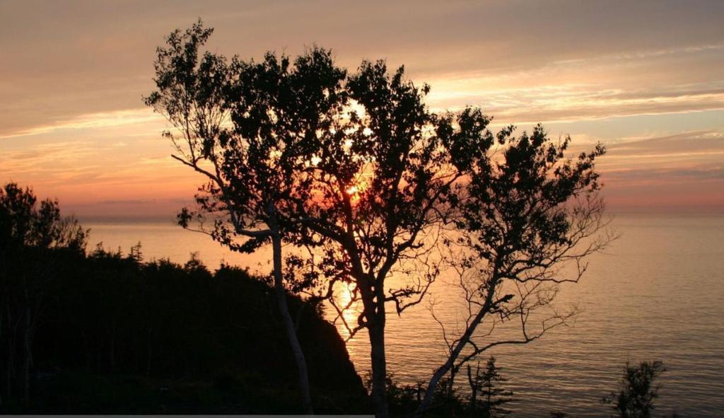 Cliffside Bed & Breakfast Culloden Екстериор снимка